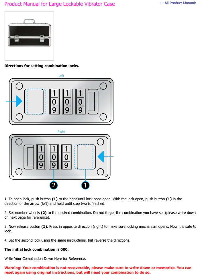 The Toy Chest - Lockable Vibrator Case - Image 6