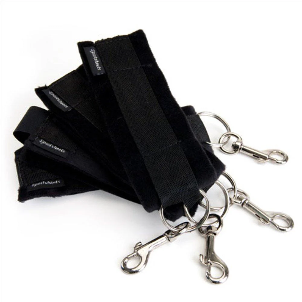 Under the Bed Restraint System - Image 4